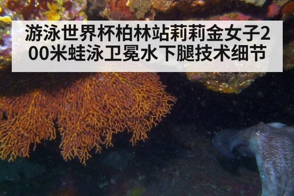 游泳世界杯柏林站莉莉金女子200米蛙泳卫冕水下腿技术细节