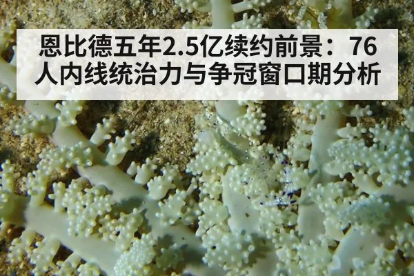 恩比德五年2.5亿续约前景：76人内线统治力与争冠窗口期分析